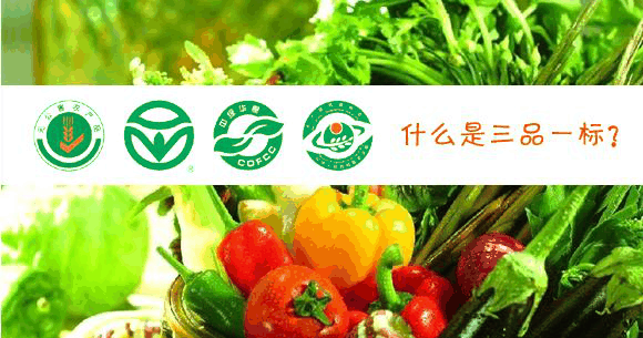 1561358109.png 图片1.png