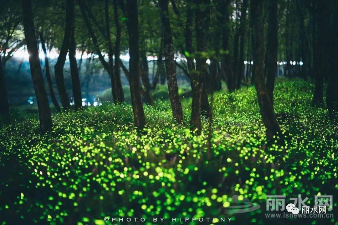 ΢ͼƬ_20210527174751.jpg